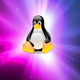 Illustration for article titled The Extended File System: A Newbies Guideem/em